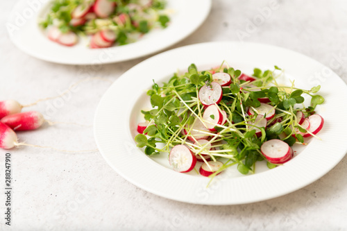 Organic Radishes and Sprouts Salad on Plate