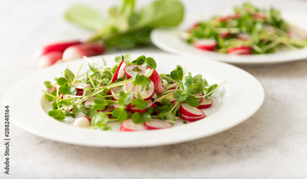Organic Radishes and Sprouts Salad on Plate Organic Radishes and Sprouts Salad on Plate