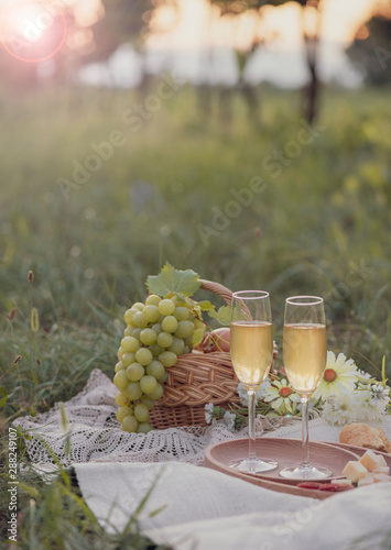 picnic on a grape field, 2 glasses of white wine and a basket of food and flowers