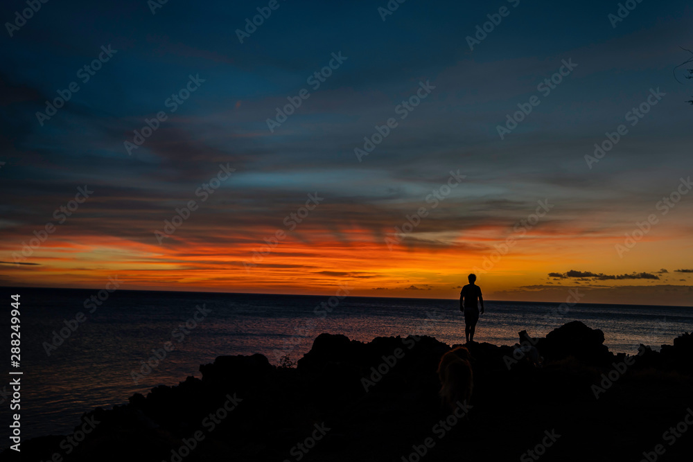silhouette person gazing towards sunset in Hawaii