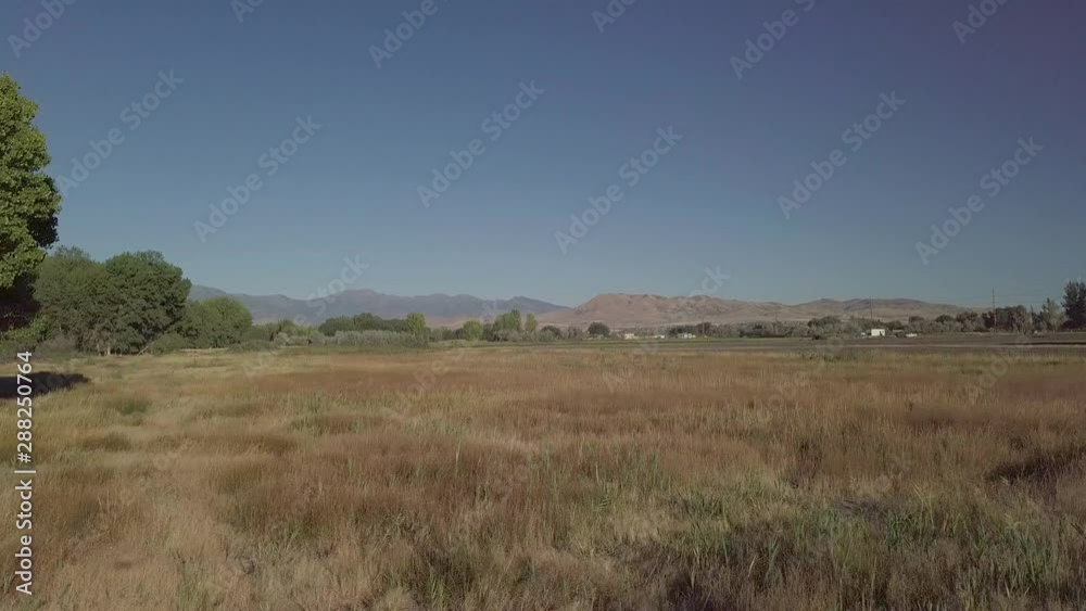 Low altitude drone shot moving forward through a meadow in a rural area Low altitude drone shot moving forward through a meadow in a rural area