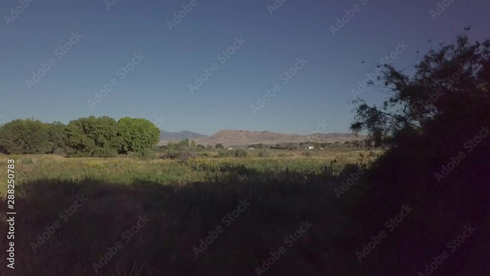 Low flying drone over grasslandsin a rural area Low flying drone over grasslandsin a rural area