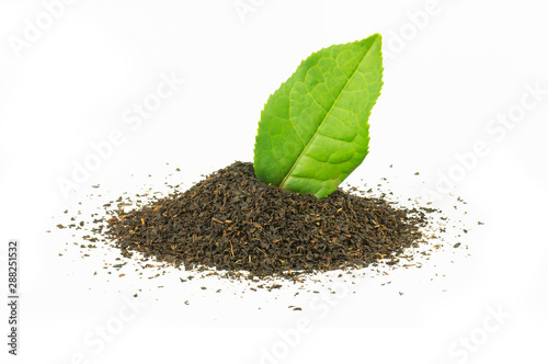 Dried Turkish blended black tea and fresh tea leaf isolated on white background, grows in Rize, Turkey