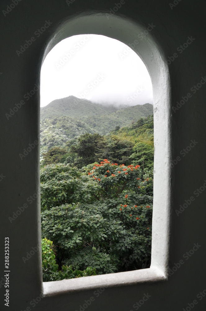 Fototapeta premium El Yunque