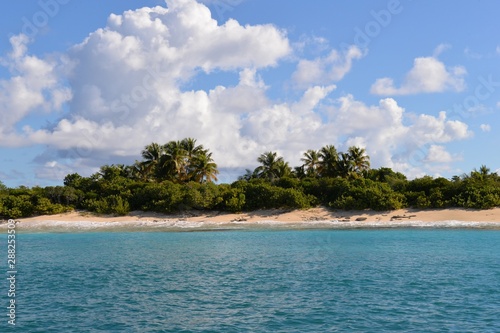 Beach in caribbean