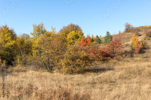 Autumn view of Cherna Gora (Monte Negro) mountain, Pernik Region, Bulgaria