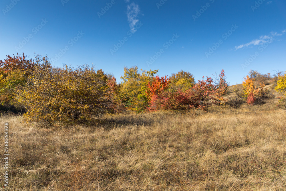 Autumn view of Cherna Gora (Monte Negro) mountain, Pernik Region, Bulgaria Autumn view of Cherna Gora (Monte Negro) mountain, Pernik Region, Bulgaria