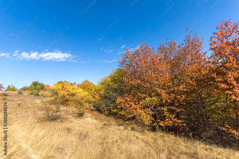 Autumn view of Cherna Gora (Monte Negro) mountain, Pernik Region, Bulgaria