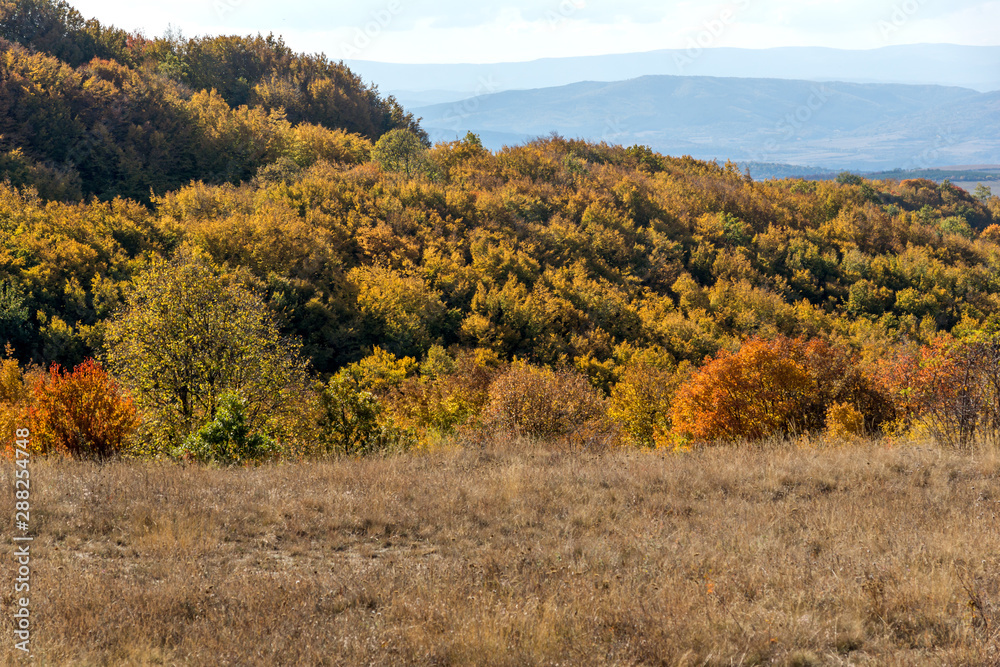 Autumn view of Cherna Gora (Monte Negro) mountain, Pernik Region, Bulgaria Autumn view of Cherna Gora (Monte Negro) mountain, Pernik Region, Bulgaria