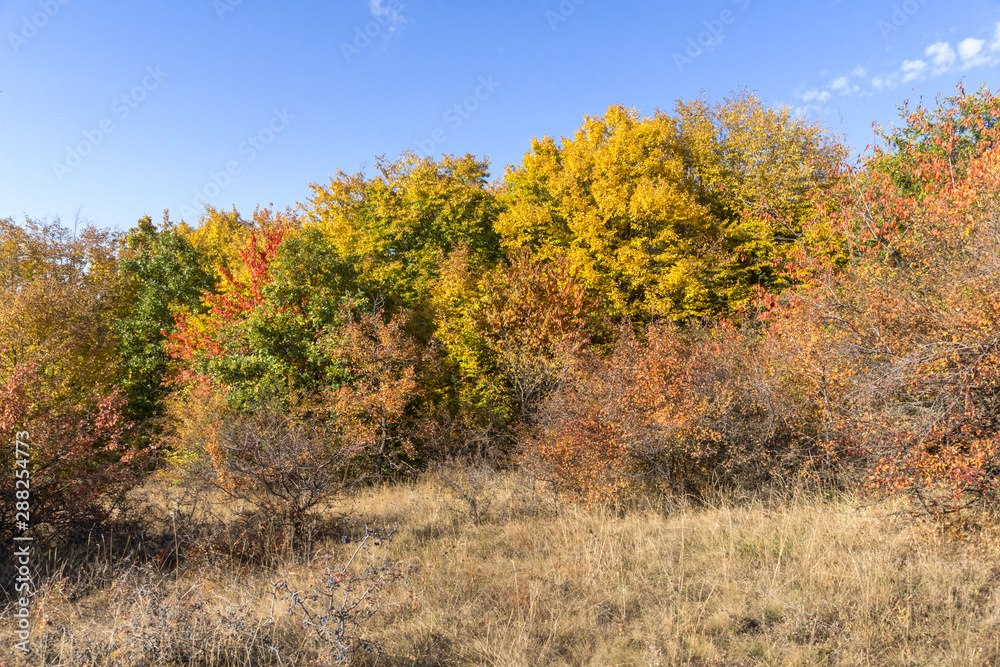 Autumn view of Cherna Gora (Monte Negro) mountain, Pernik Region, Bulgaria Autumn view of Cherna Gora (Monte Negro) mountain, Pernik Region, Bulgaria