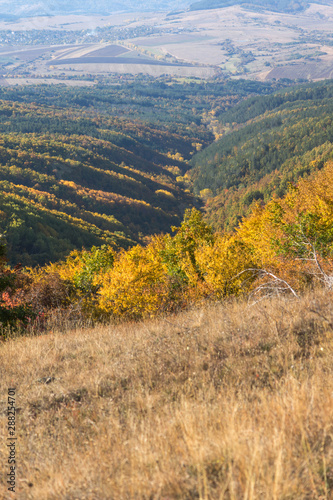 Autumn view of Cherna Gora  Monte Negro  mountain  Pernik Region  Bulgaria