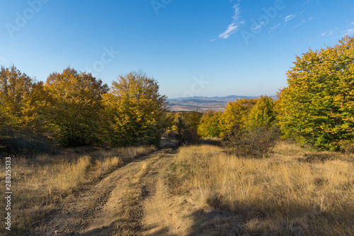 Autumn view of Cherna Gora  Monte Negro  mountain  Pernik Region  Bulgaria