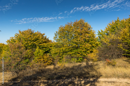 Autumn view of Cherna Gora  Monte Negro  mountain  Pernik Region  Bulgaria