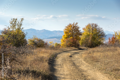 Autumn view of Cherna Gora  Monte Negro  mountain  Pernik Region  Bulgaria