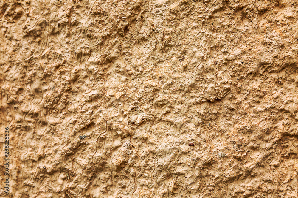 Limestone surface texture, background. Space for text. Limestone surface texture, background. Space for text.