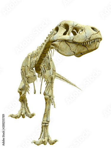 tyrannosaur skeleton just walking