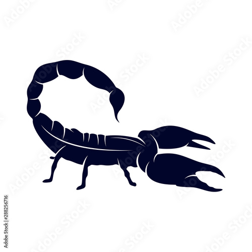 Scorpion Logo Vector  vector image for the tattoo  symbol or logo  Illustration Template