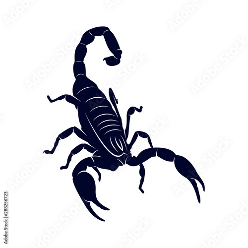 Scorpion Logo Vector, vector image for the tattoo, symbol or logo, Illustration Template © shuttersport