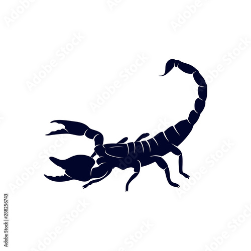 Scorpion Logo Vector, vector image for the tattoo, symbol or logo, Illustration Template photo