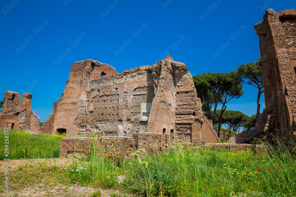 Ruins of the Palace of Septimius Severus or Domus Severiana on the Palatine Hill