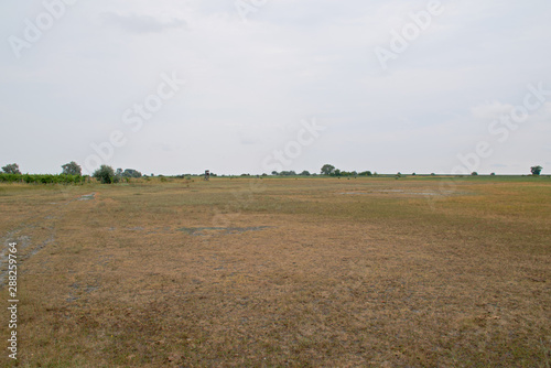 Landscape shot in the national park Neusiedler See in Illmitz Burgenland