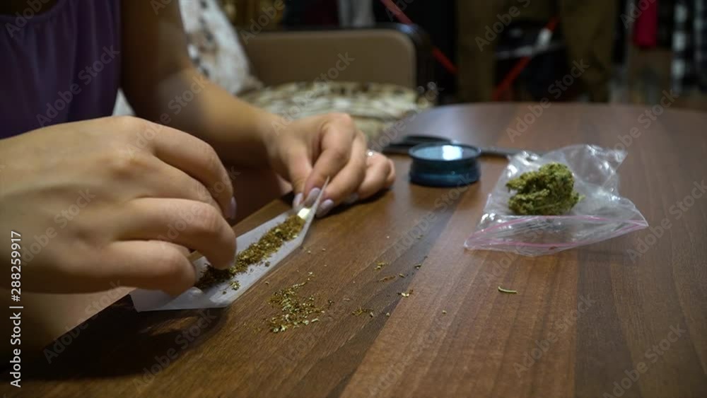 Woman preparing cannabis joint, drug abuse problem Woman preparing cannabis joint, drug abuse problem