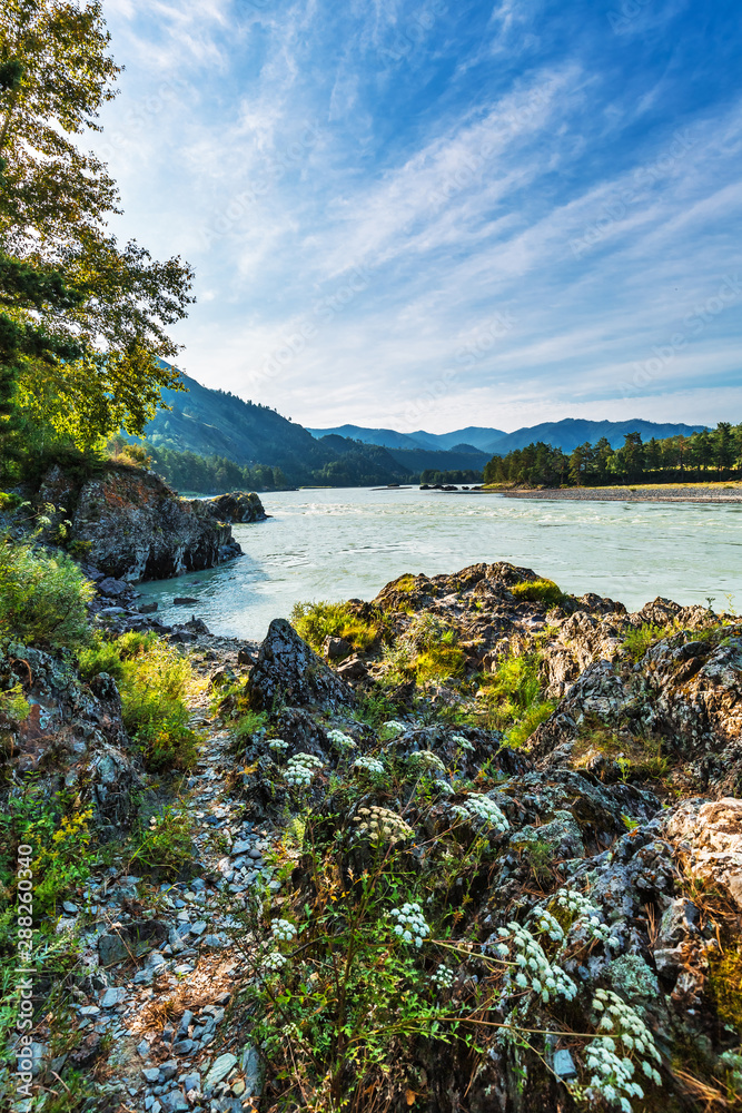Summer landscape with Katun river. Chemal, Gorny Altai, Siberia, Russia Summer landscape with Katun river. Chemal, Gorny Altai, Siberia, Russia