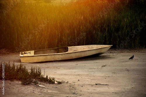 Rowing boat on dry lake in national park Neusiedler See in Illmitz Burgenland photo