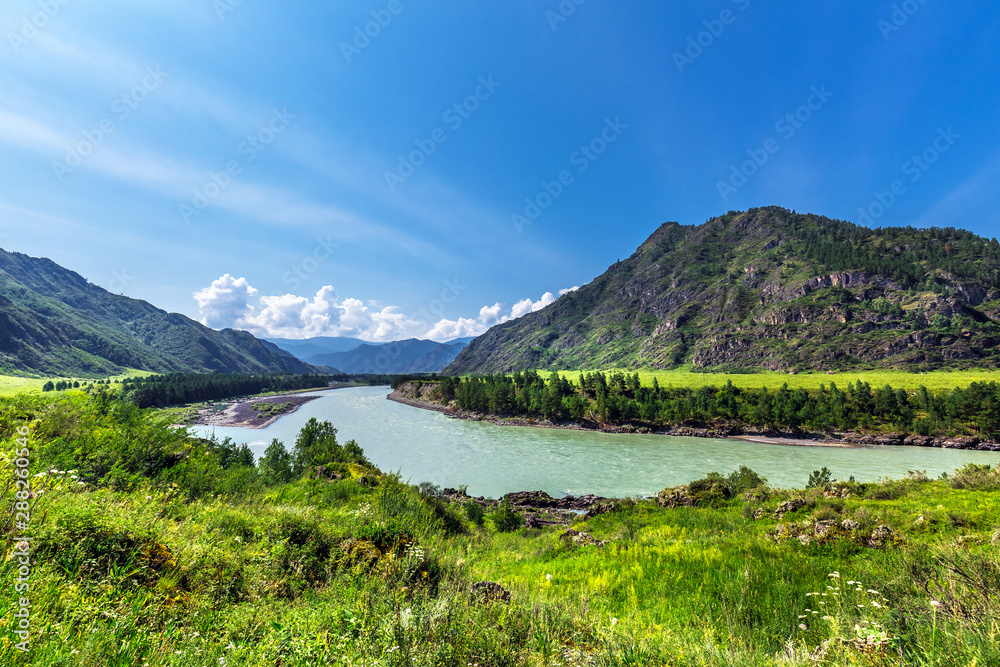 Summer landscape with Katun river. Chemal, Gorny Altai, Siberia, Russia