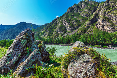 Fototapeta Naklejka Na Ścianę i Meble -  Summer landscape with Katun river. Chemal, Gorny Altai, Siberia, Russia