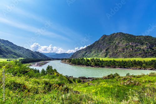 Summer landscape with Katun river. Chemal, Gorny Altai, Siberia, Russia © Starover Sibiriak