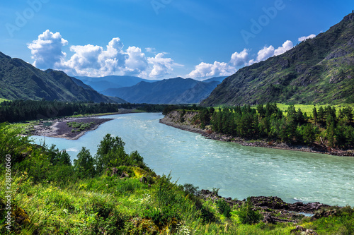 Fototapeta Naklejka Na Ścianę i Meble -  Summer landscape with Katun river. Chemal, Gorny Altai, Siberia, Russia