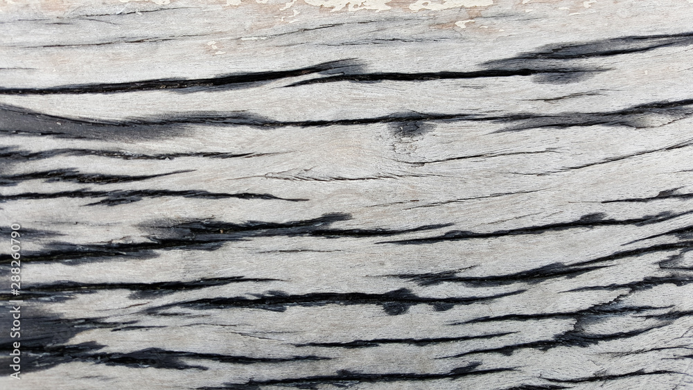 Wooden wall texture and wood background photo Wooden wall texture and wood background photo