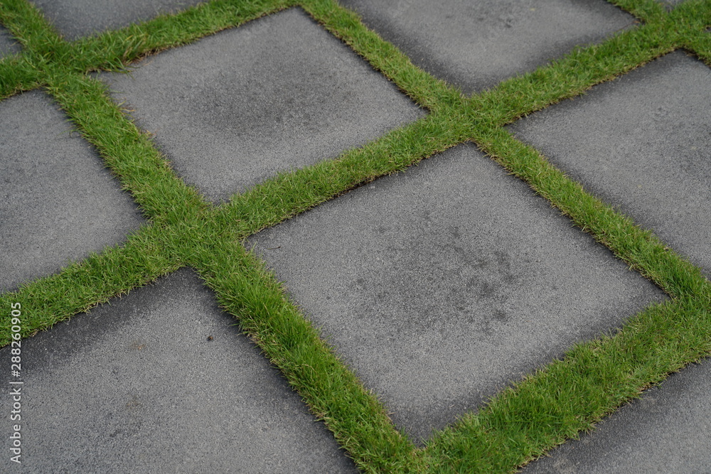 Obraz premium Side walk with grass design