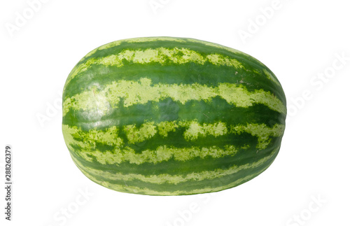 Watermelon green isolated on a white background, oblong watermelon.