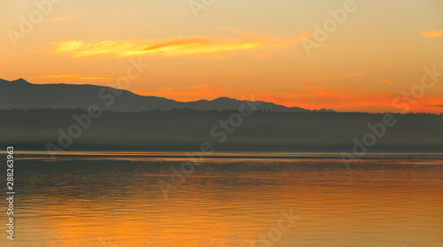 Peach Colored Tide