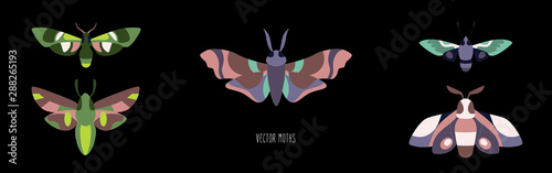 Moth, Insects Entomologist Collection Vector Set. Moth Species And Types Outline Cliparts. Flying Insects With Wings on dark background. Butterflies