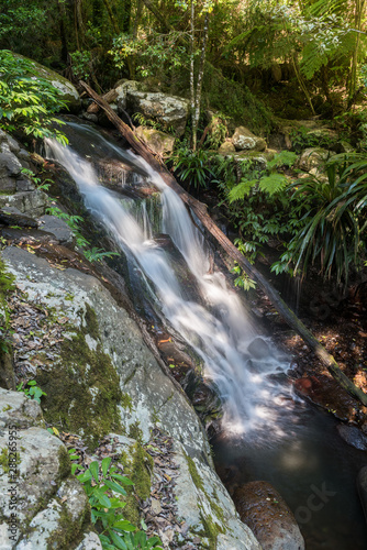Small waterfall on the Toolona Creek in Lamington National Park, Queensland, Australia. photo