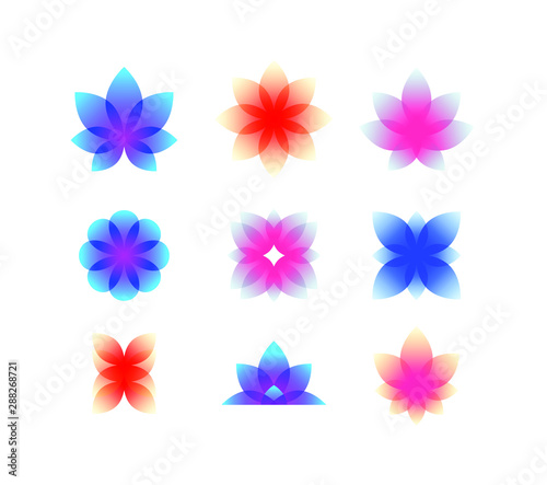 Decorative gradient buds. Vector. Flowers for logo and corporate identity. Lotuses, roses and other decorative plant elements. Fashionable style.