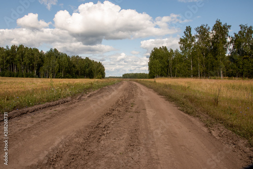 Road In The Countryside.