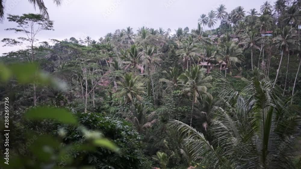 Panning shot of a village in the middle of an indonesian jungle, on a cloudy day Panning shot of a village in the middle of an indonesian jungle, on a cloudy day