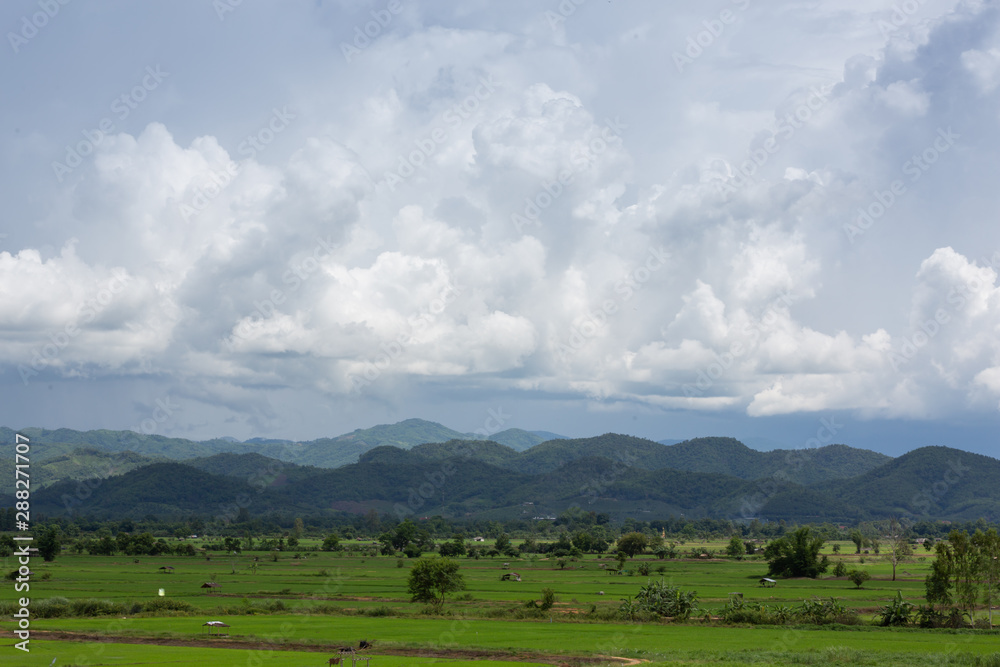 Wide angle view of beautiful rice fields and mountains with cloudy clouds.