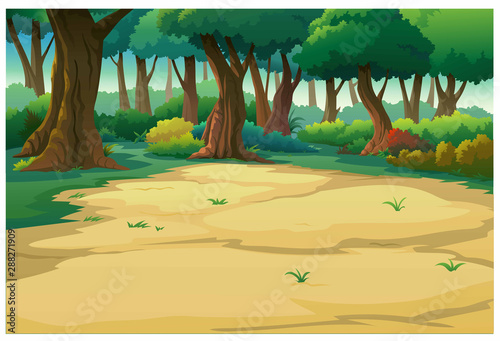 landscape forest daytime so beautiful.