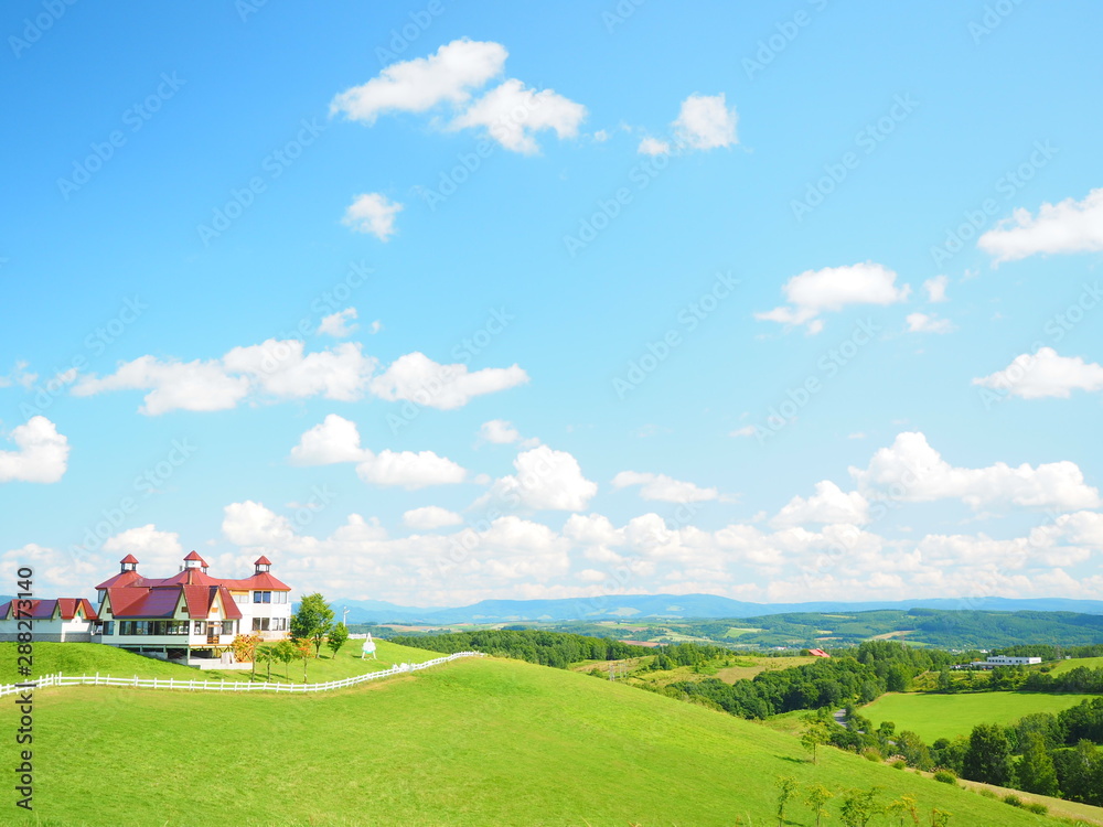 Obraz premium 北海道の絶景 羊と雲の丘