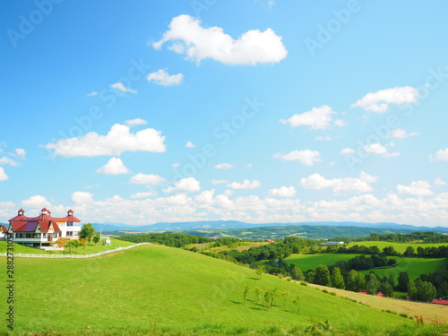 Wallpaper Mural 北海道の絶景 羊と雲の丘 士別市 Torontodigital.ca