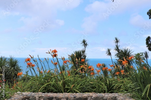 Panoramic view of the Black sea coastline, from the Batumi botanical garden of Georgia. Large park surrounded by nature.  photo