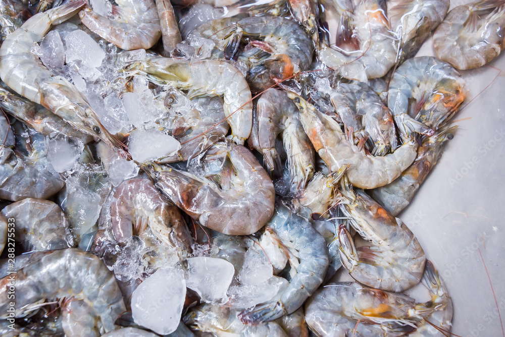 white shrimp on ice in Thailand seafood market, seafood background.