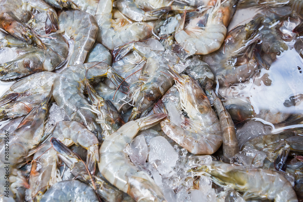 white shrimp on ice in Thailand seafood market, seafood background. white shrimp on ice in Thailand seafood market, seafood background.