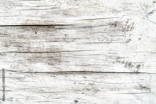 White texture background. Old cracked wood texture. Different fractures of surface. Horizontal lines and scuffs. Background for text or design