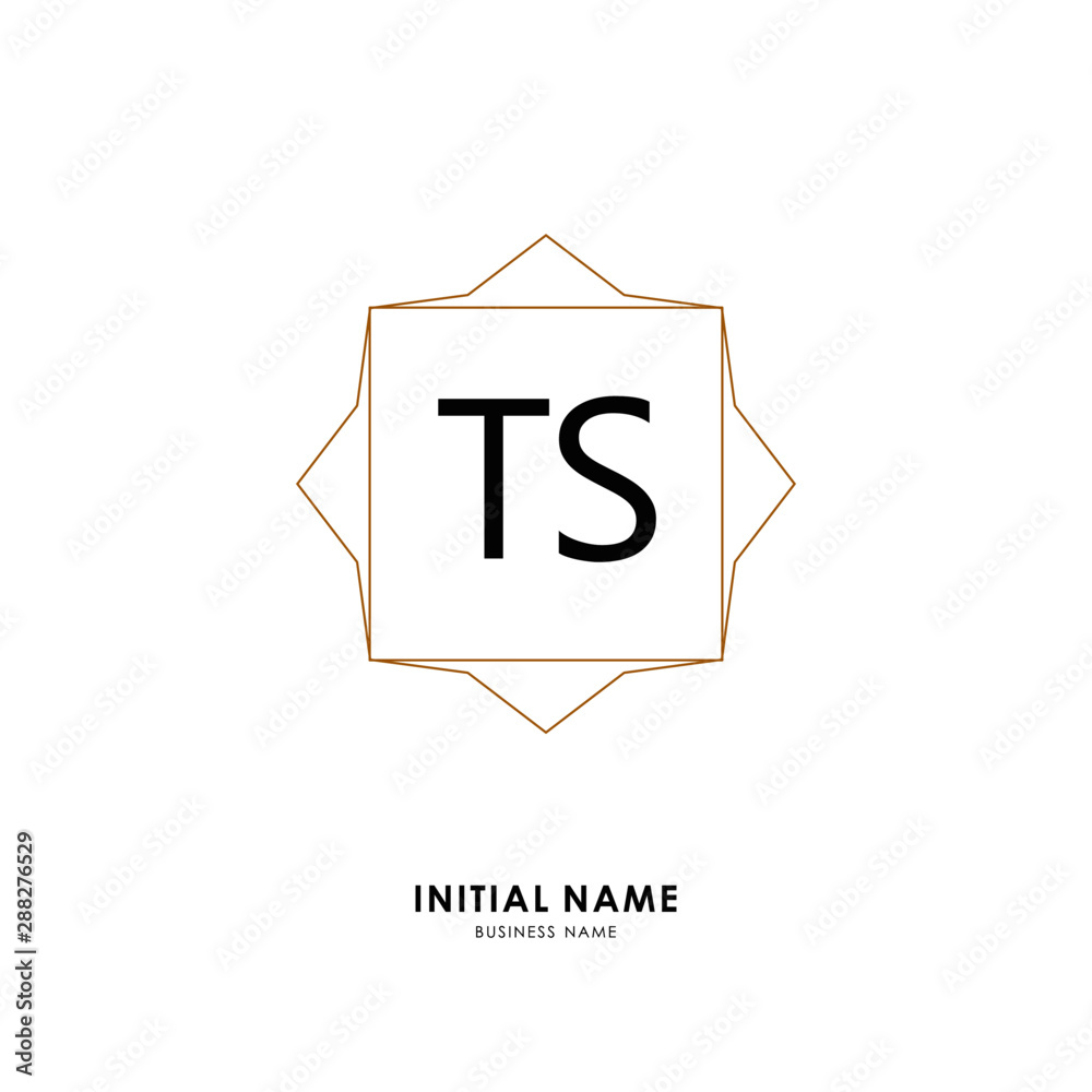 TS TS Initial logo letter with minimalist concept. Vector with scandinavian style logo. TS TS Initial logo letter with minimalist concept. Vector with scandinavian style logo.